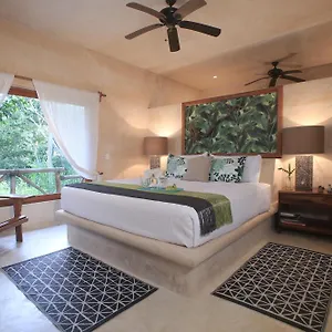  Villa Cachito De Cielo Luxury Jungle México