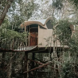 Camping Ikalar México